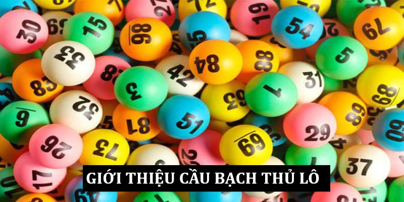 Cầu bạch thủ lô và những thông tin giới thiệu liên quan 