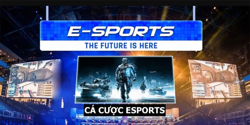 Tham gia cá cược Esports với đa dạng tựa game khác nhau