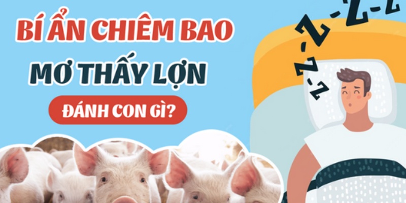 Những con số may mắn đối với giấc mộng về lợn